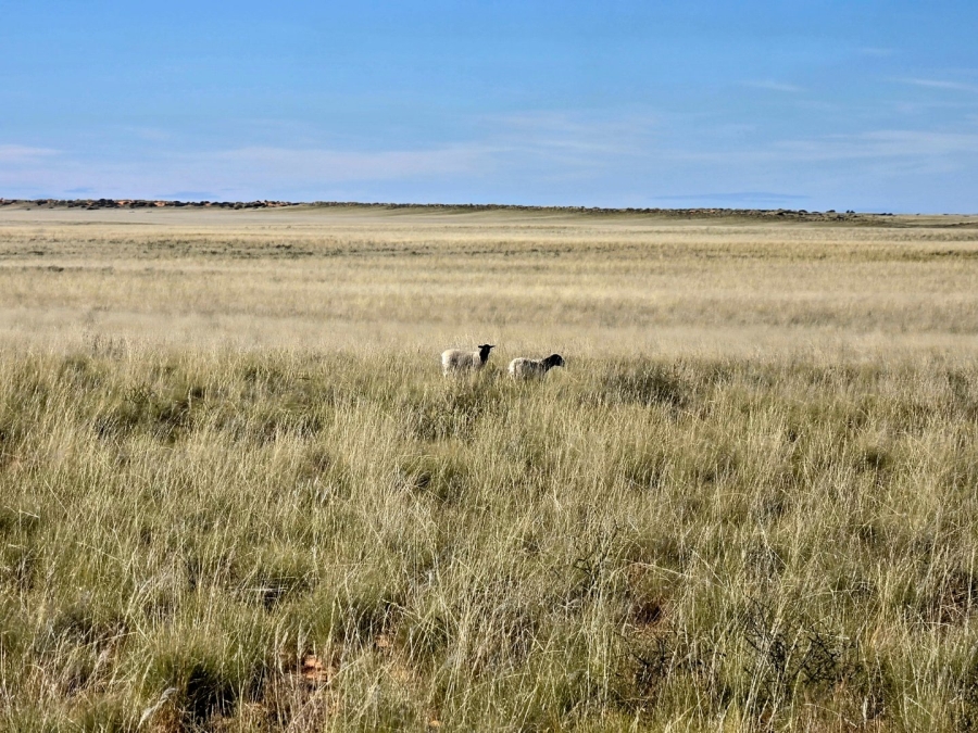 Commercial Property for Sale in Upington Rural Northern Cape